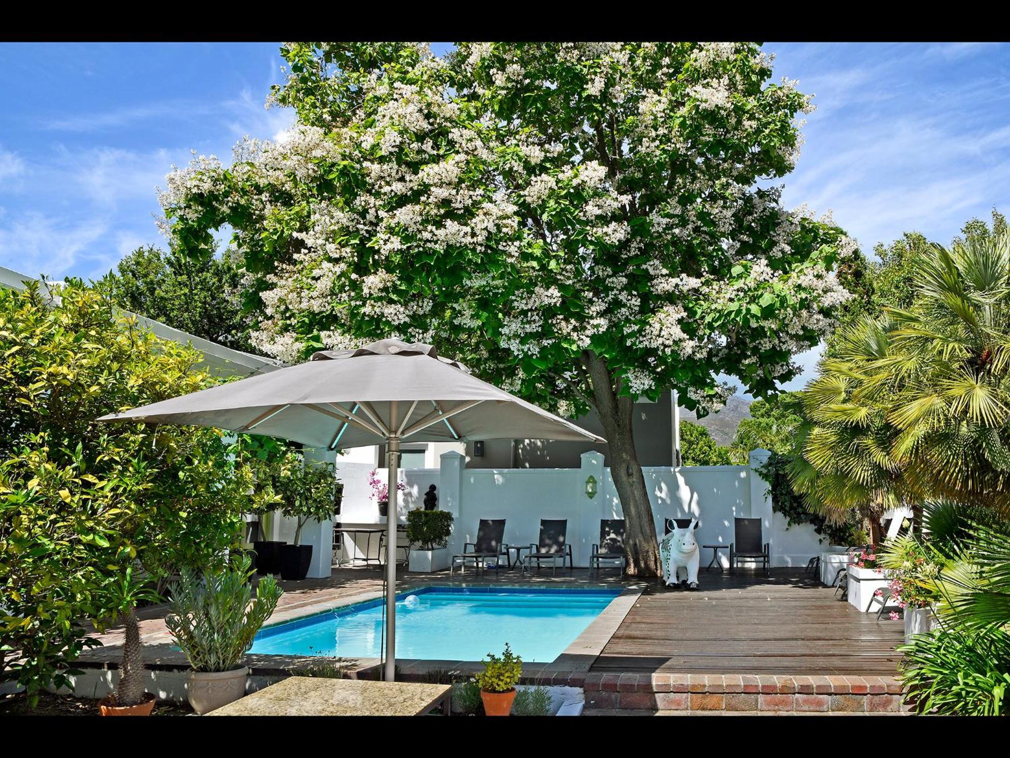 Ashbourne Boutique Guest House Franschhoek Dış mekan fotoğraf